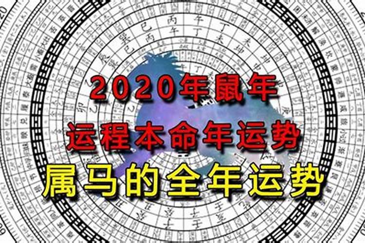 2020年属马女全年运势如何