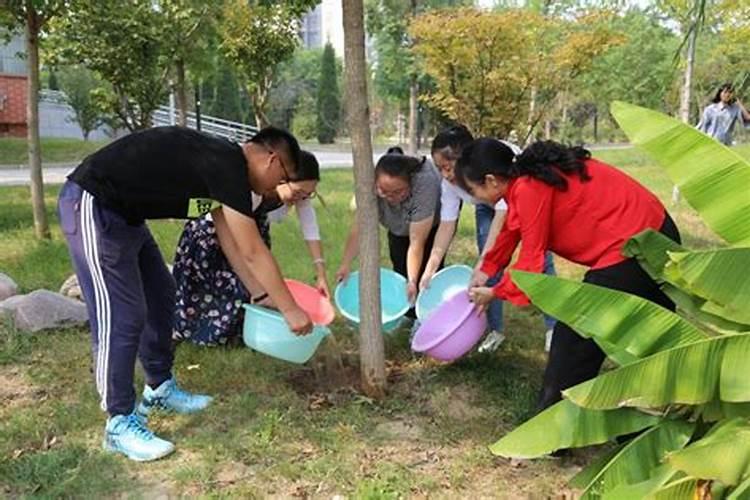 梦见浇树什么意思周公解梦