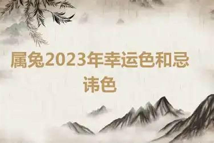 1987年属兔2023年幸运色