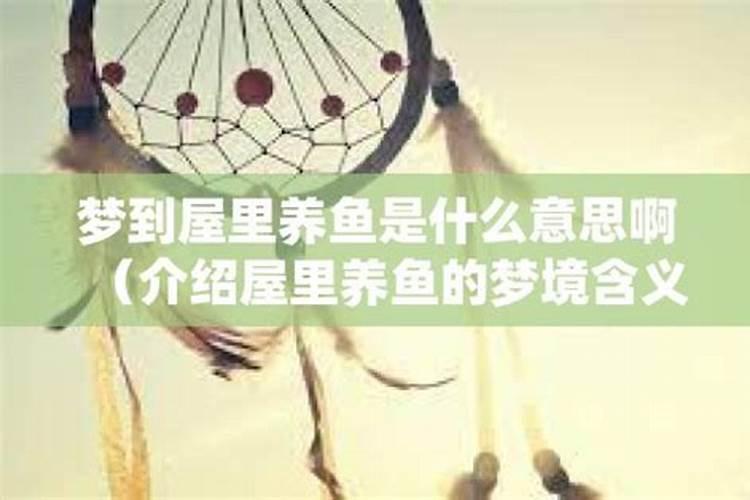 梦到养鱼是什么意思