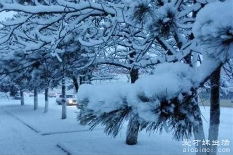 梦见下雪是啥情况