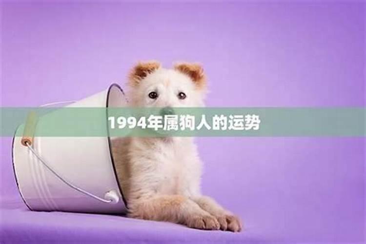 1994属狗的一生运势如何