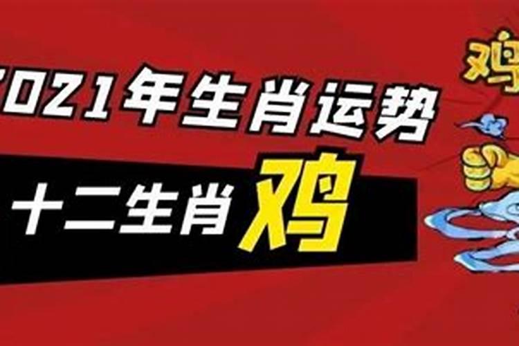 属鸡人在兔年的运势2022年