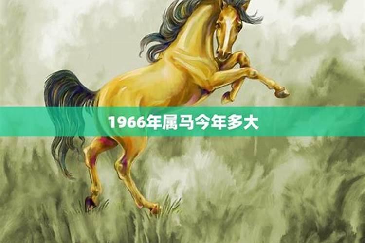 1966属马的今年多大了2022