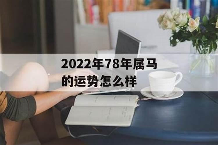 属马2022的运势