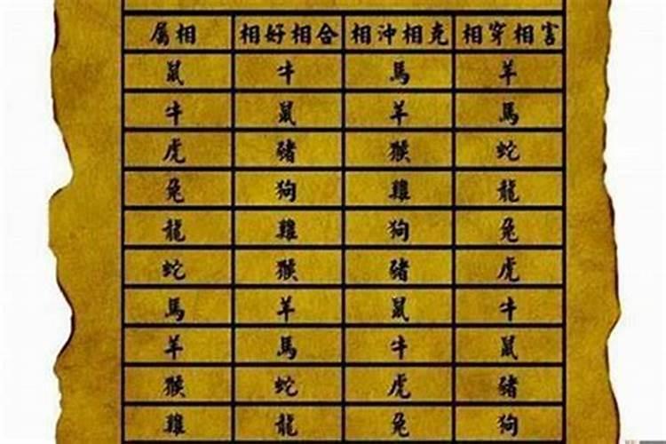 73年属什么生肖婚配最好