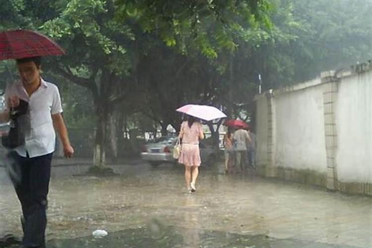 梦见下好大雨什么寓意