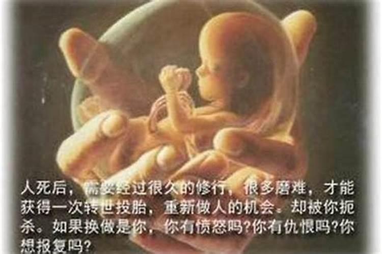 堕胎超度是道教还是佛教的