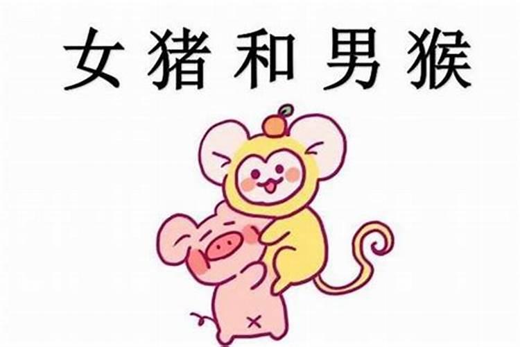 生肖猪有几次婚姻