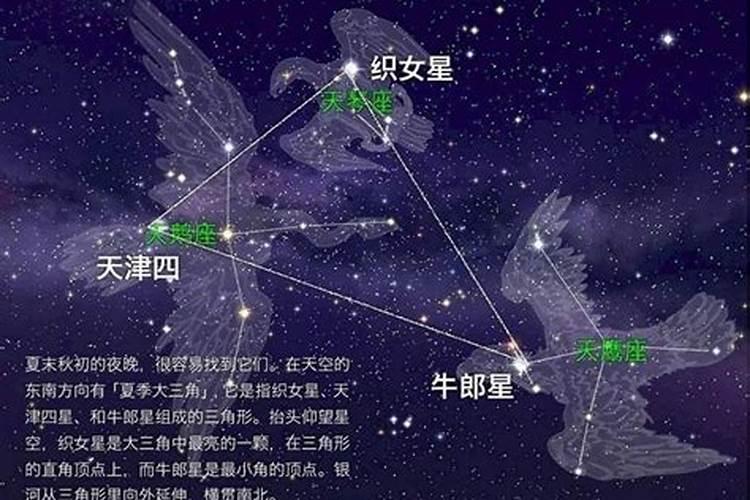 牛郎织女在什么星座上