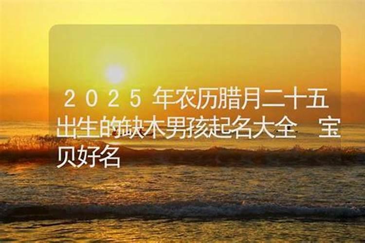 2023年兔五行应该补什么