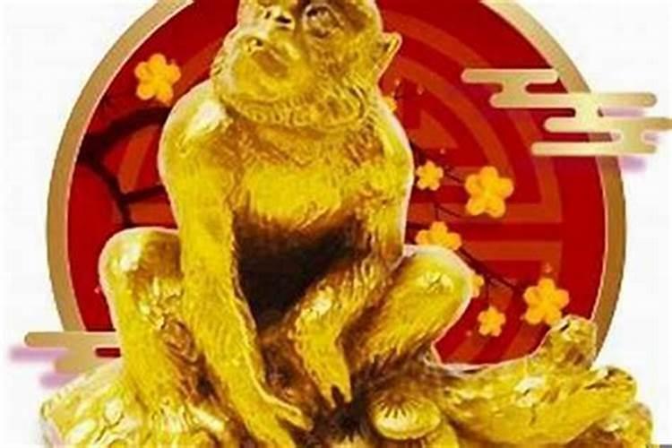 属猪的今年多大岁数2020年