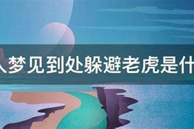 女人梦见到处躲避老虎是什么意思呢