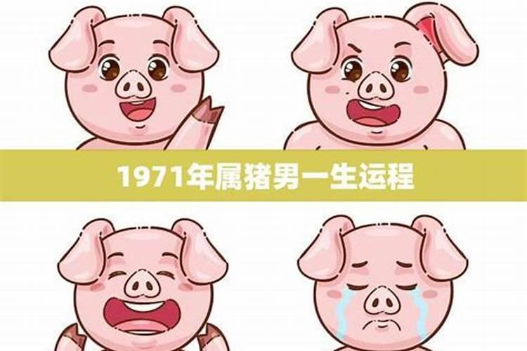 1971年属猪人一生运程