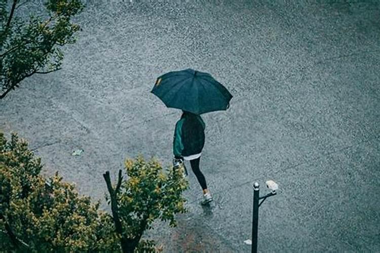 女人梦见下雨打伞在雨中行走是什么意思