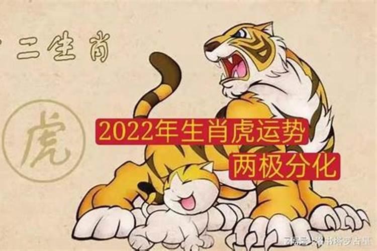 生肖虎的在2022年的运势如何