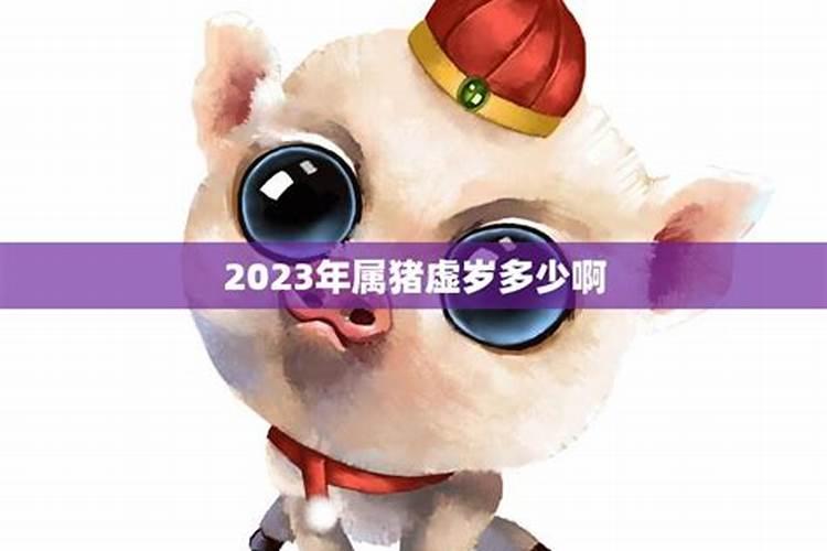 2022年属猪虚岁