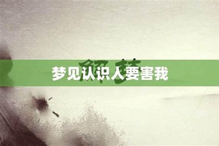 2023年运势及运程属牛