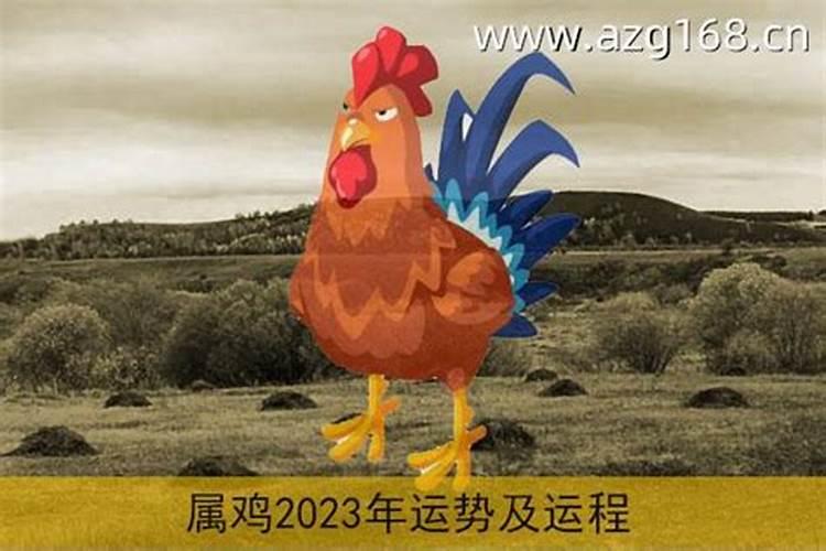 2021年属鸡的运程大家找网