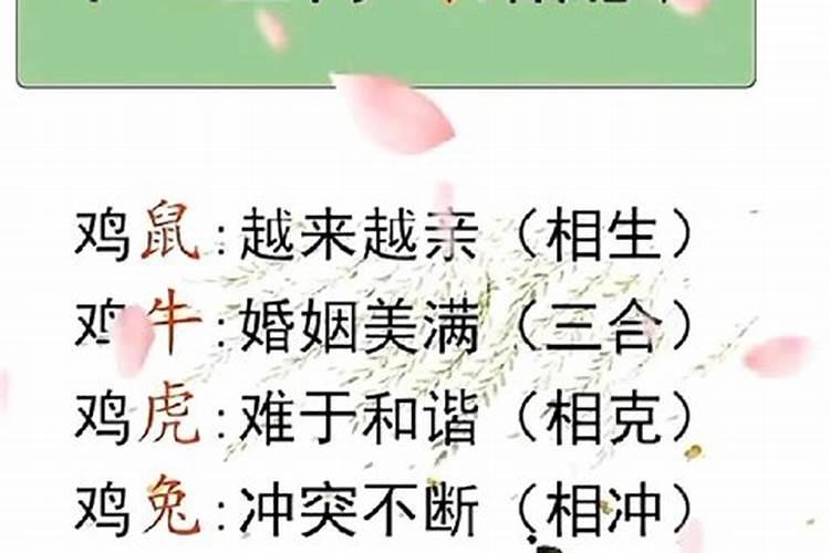 赵薇属于什么生肖