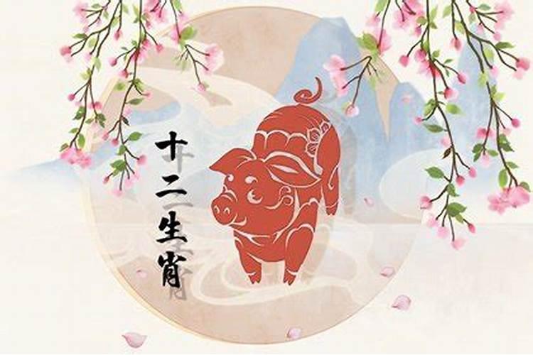 属猪今年能怀宝宝好吗