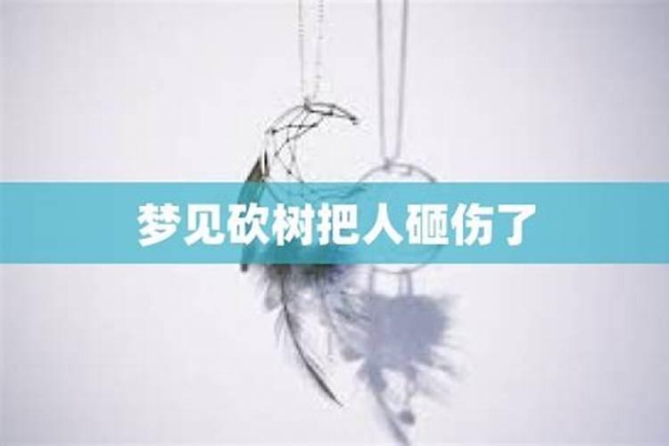 梦见砍树是什么征兆老公