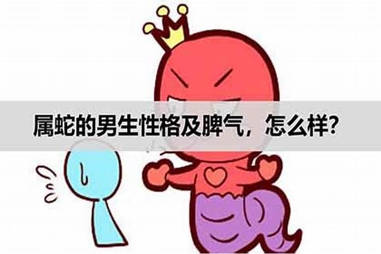 属蛇的脾气性格怎么样男