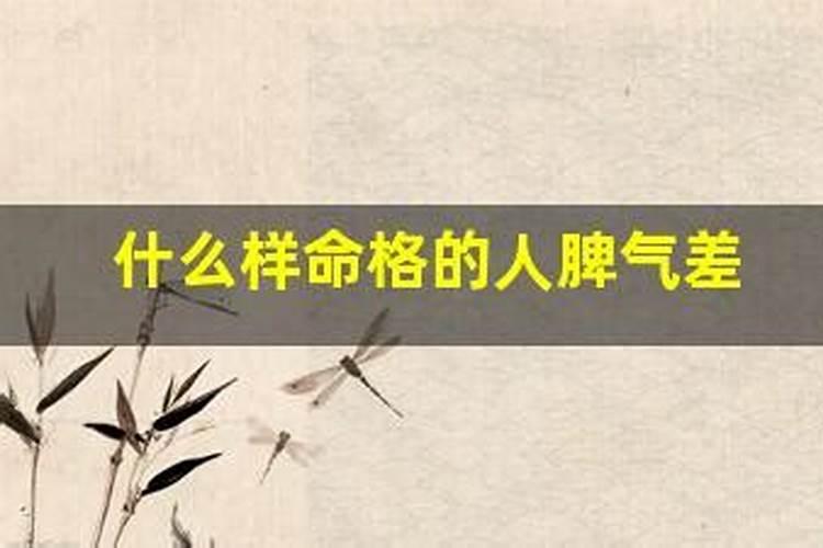 生肖属蛇的人的性格和脾气特点