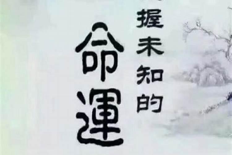 梦到水中有大乌龟