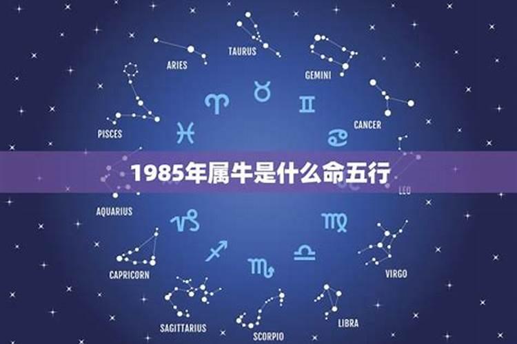 属牛人属于什么星座