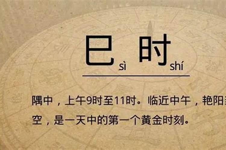 八点指什么生肖