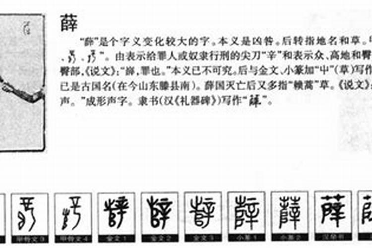 薛五行属什么意思