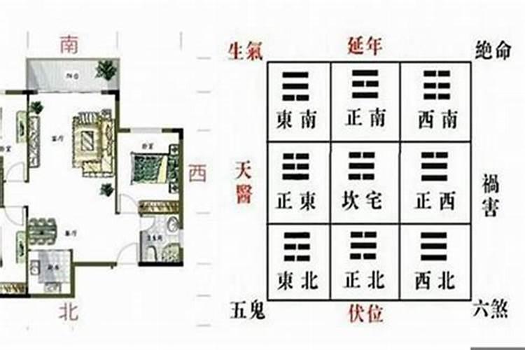 风水金龙位