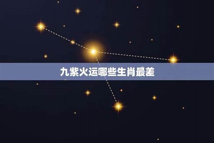 九星九紫是什么生肖