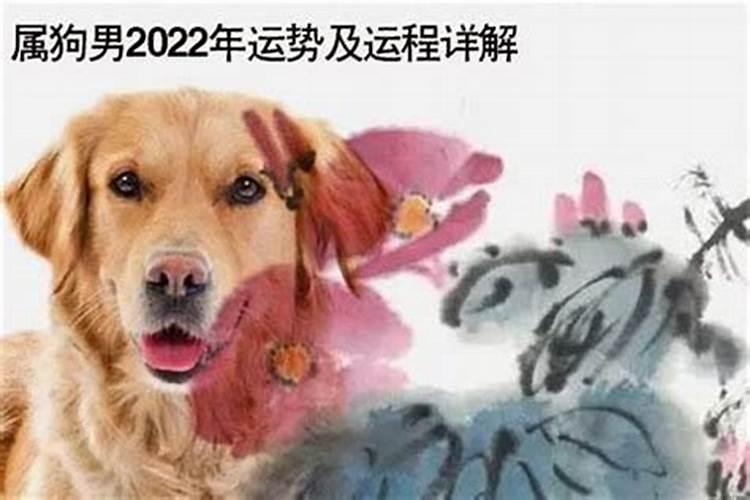 82年狗在2022年运势