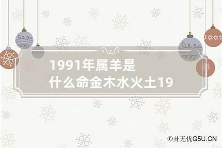 1991年属羊是金命还是土命男