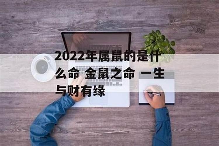 2022年属鼠的是什么命