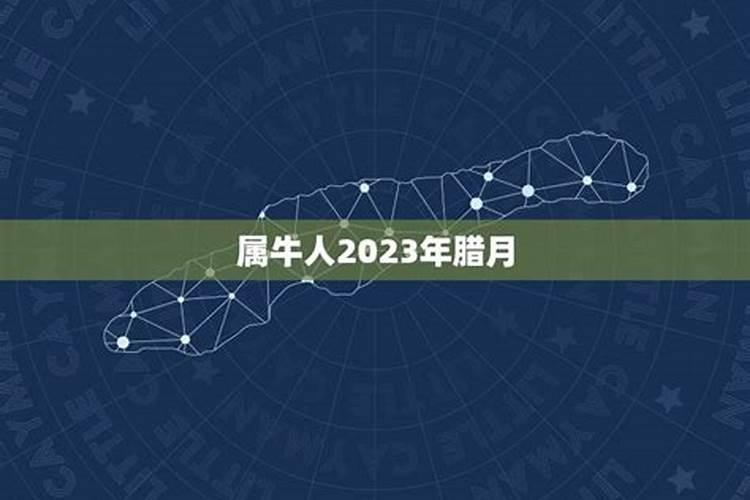 本命年虎的三合属相