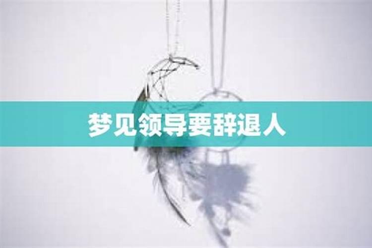 梦见领导辞退我的工作