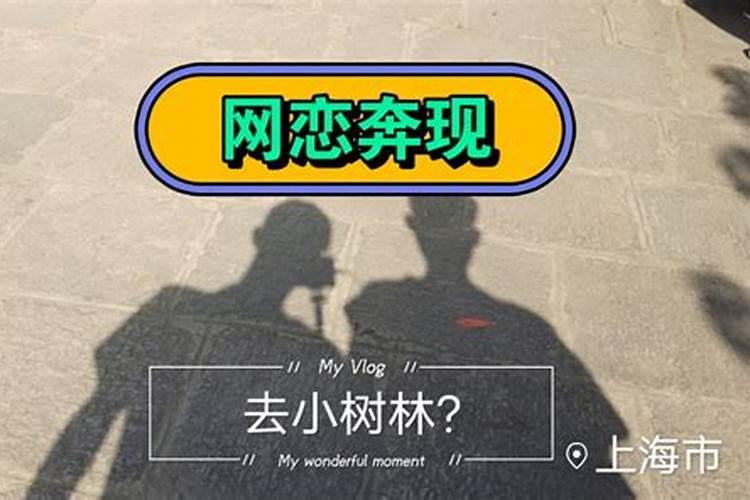 双子座男生会网恋吗