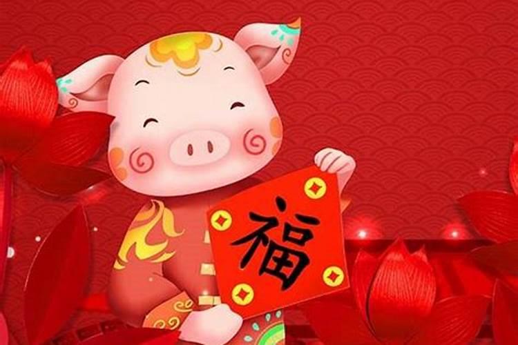 属相兔子今年几岁了