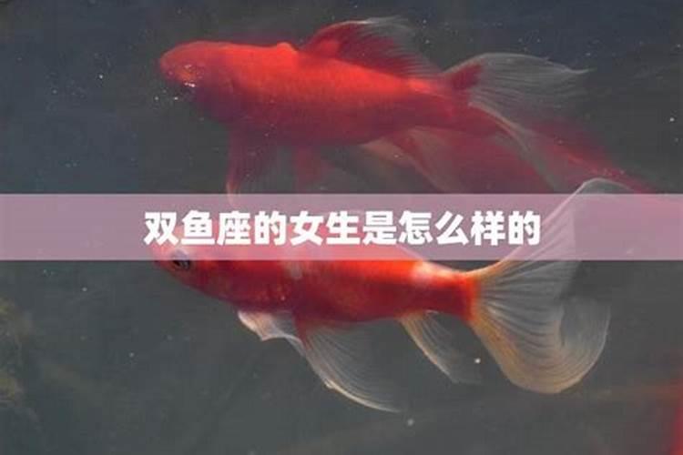 双鱼座的女生是什么样子