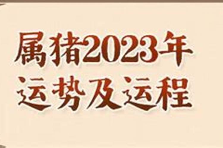 属猪的在2023年的运势