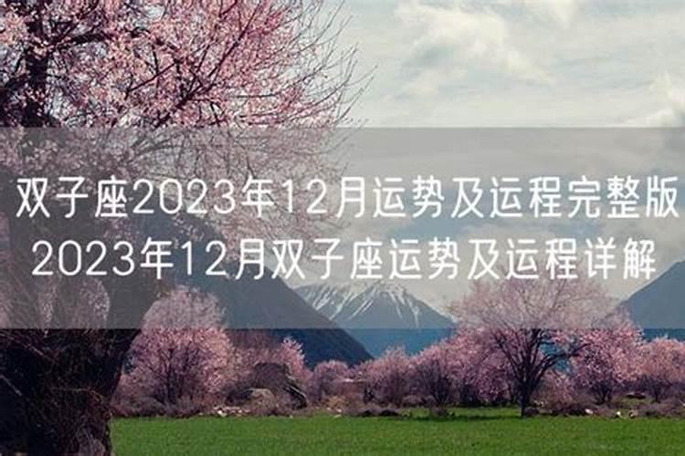 双子座2023年运势详解