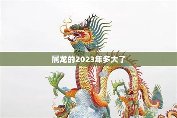 属蛇的2023年多大