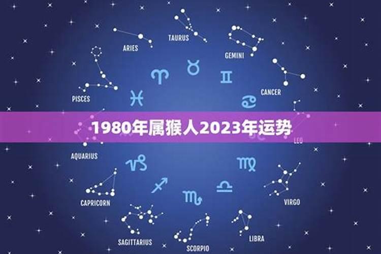 属猴在2023年的运势