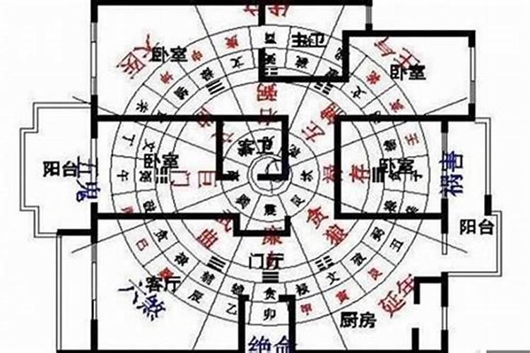 2024年运势兔生肖运势