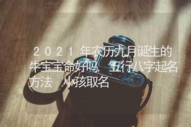 2024属马的下半年运势