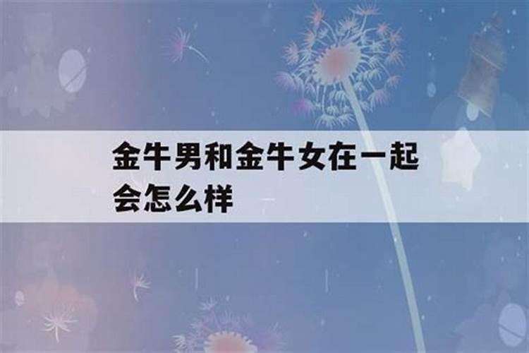 金牛男双子女在一起会怎样