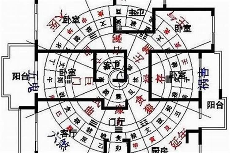 后人乘凉是属什么生肖